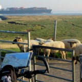 2409H 85 Oste nach Cuxhaven